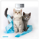 весы напольные Centek CT-2426